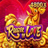 bet1691688